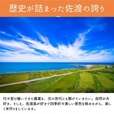 【発送月固定定期便】令和9年1月発送開始　新潟県佐渡産純粋コシヒカリ　白米　旨い無洗米2kg全6回