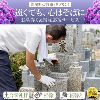 【新潟佐渡島内】遠くても、心はそばに　お墓参りプランB1回　合掌拝礼・花替え・墓石水洗い・簡易清掃　