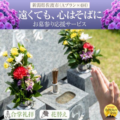 【新潟県佐渡島内】「お墓参りプランA」合掌拝礼・花替え・簡易清掃《4回分》タクシー利用1回付き