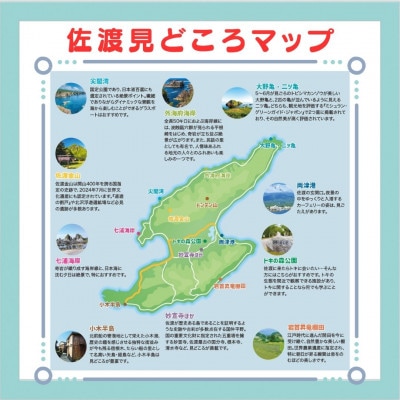 【新潟県佐渡】おけさ観光タクシー<ヴェルファイア>で巡る 5時間観光プラン ラグジュアリーハイヤー