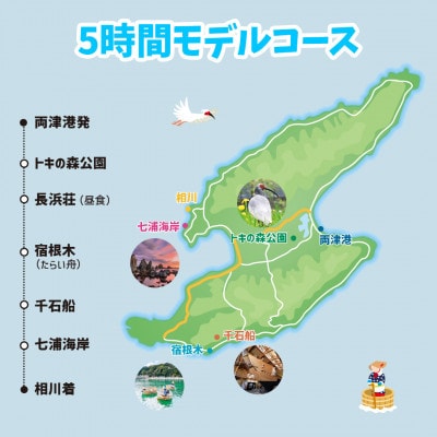 【新潟県佐渡】おけさ観光タクシー<ヴェルファイア>で巡る 5時間観光プラン ラグジュアリーハイヤー