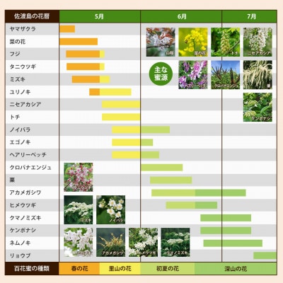 佐渡島はちみつ(非加熱・無加工)百花蜜2本セット(深山の花・里山の花 / 各1本)