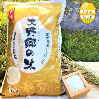 【令和3年産】佐渡産こしひかり 大野郷の米(精米)5kg×1袋