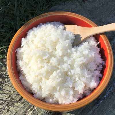 【令和3年産】佐渡産こしひかり 大野郷の米(精米)5kg×1袋