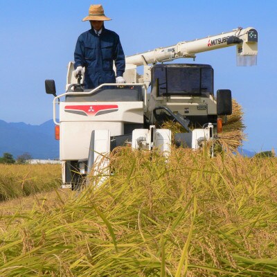 【令和3年産】佐渡産こしひかり 大野郷の米(精米)5kg×1袋