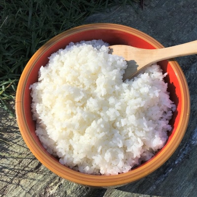 【令和3年産】佐渡産こしひかり　大野郷の米(精米)10kg(5kg×2袋)
