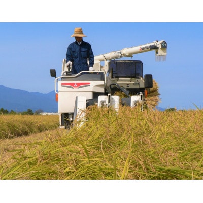 【令和3年産】佐渡産こしひかり　大野郷の米(精米)10kg(5kg×2袋)