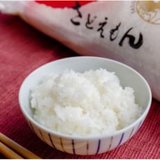 自社栽培米新潟県【佐渡産】こしひかり(精米5kg) | ふるさと納税のお礼品