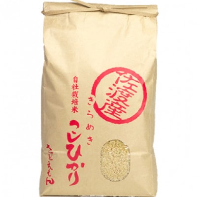 自社栽培米新潟県【佐渡産】こしひかり(玄米10kg)