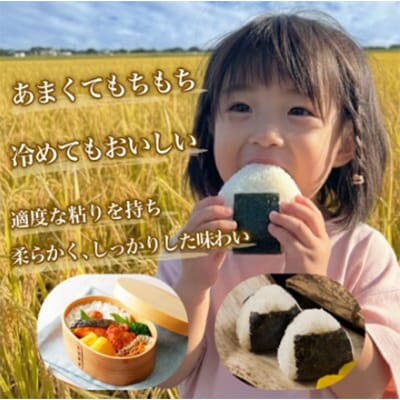 自社栽培米新潟県【佐渡産】こしひかり(玄米30kg)