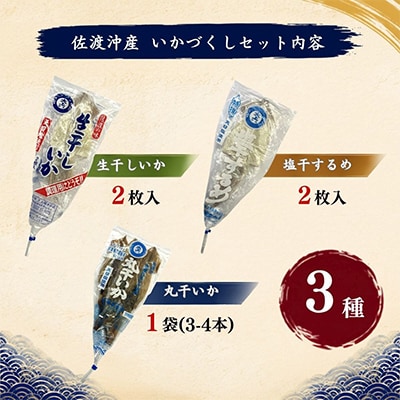 佐渡ヶ島いか専門店のイカづくしセット