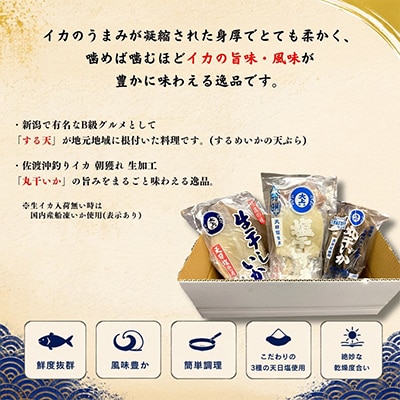 佐渡ヶ島いか専門店のイカづくしセット