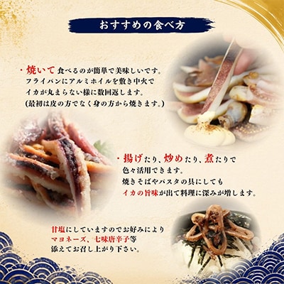 佐渡ヶ島いか専門店のイカづくしセット