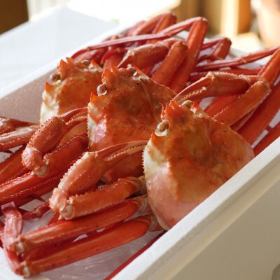【新潟県佐渡島産】『冷凍』 浜茹で紅ズワイガニ(600g×3杯)