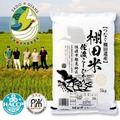 棚田米 佐渡こしひかり 佐渡市歌見地区　精米　5kg
