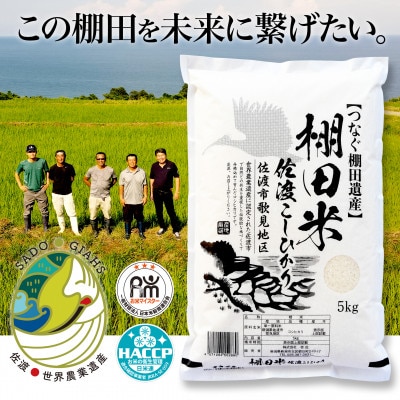 棚田米 佐渡こしひかり 佐渡市歌見地区　精米　5kg