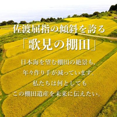 棚田米 佐渡こしひかり 佐渡市歌見地区　精米　5kg