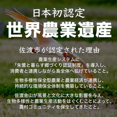 棚田米 佐渡こしひかり 佐渡市歌見地区　精米　5kg
