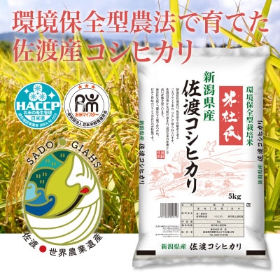 新潟県佐渡市 コシヒカリ 精米 5kg