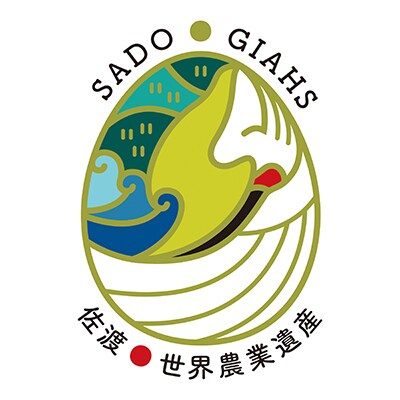 【毎月定期便】【定期便6回】佐渡市産 新之助 精米5kg全6回