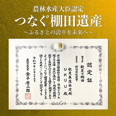 2023年5月発送開始『定期便』棚田米 佐渡こしひかり 歌見地区 精米5kg 12回