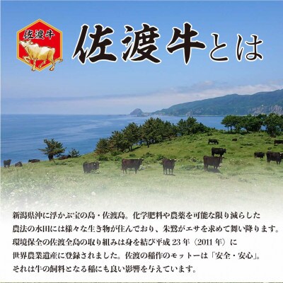 佐渡牛ヒレステーキ300g
