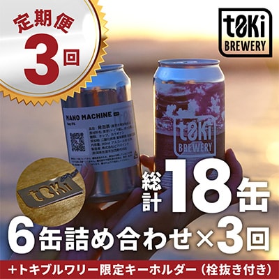 【発送月固定定期便】クラフトビール3種詰め合わせ 全3回