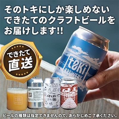 【発送月固定定期便】クラフトビール3種詰め合わせ 全3回