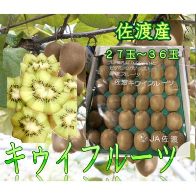 【2024年12月より順次発送】佐渡産　キウイフルーツ　27玉～36玉