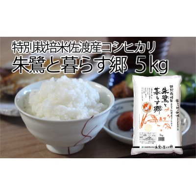 特別栽培米佐渡産コシヒカリ・朱鷺と暮らす郷5kg