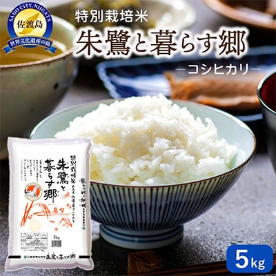 特別栽培米佐渡産コシヒカリ・朱鷺と暮らす郷5kg