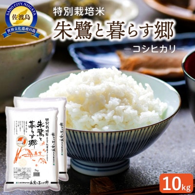 特別栽培米佐渡産コシヒカリ・朱鷺と暮らす郷10kg(5kg×2)