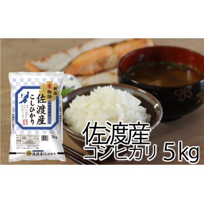 【毎月定期便】新潟米物語佐渡産コシヒカリ5kg全12回