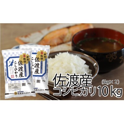 【毎月定期便】新潟米物語佐渡産コシヒカリ10kg(5kg×2)全12回