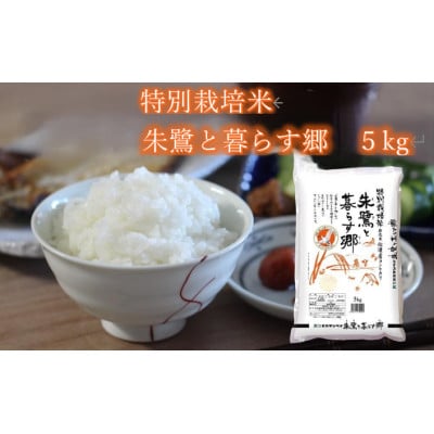 【毎月定期便】特別栽培米佐渡産コシヒカリ・朱鷺と暮らす郷5kg全12回