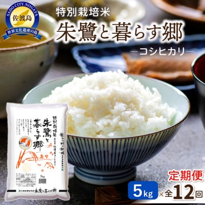 【毎月定期便】特別栽培米佐渡産コシヒカリ・朱鷺と暮らす郷5kg全12回