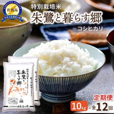 【毎月定期便】特別栽培米佐渡産コシヒカリ・朱鷺と暮らす郷10kg(5kg×2)全12回