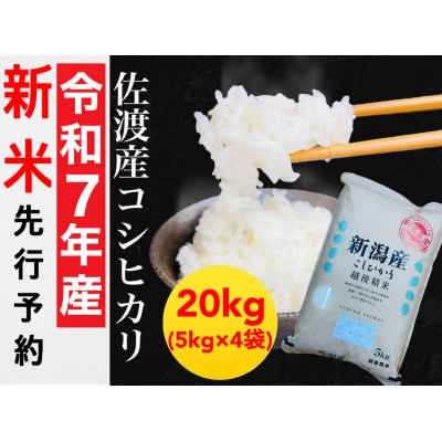【令和7年産新米】佐渡産コシヒカリ 5kg×4袋セット
