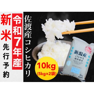【令和7年産新米】佐渡産コシヒカリ 5kg×2袋セット
