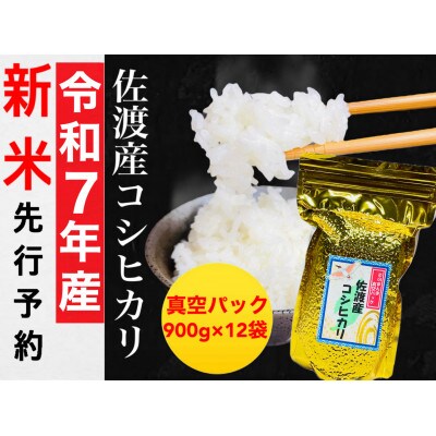 【令和7年産新米】佐渡産コシヒカリ そのまんま真空パック 900g×12袋セット