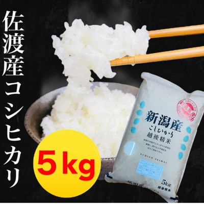 【令和6年産】佐渡羽茂産コシヒカリ 5kg