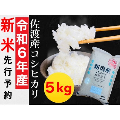 【令和6年産】【2024年10月より順次発送】佐渡羽茂産コシヒカリ 5kg