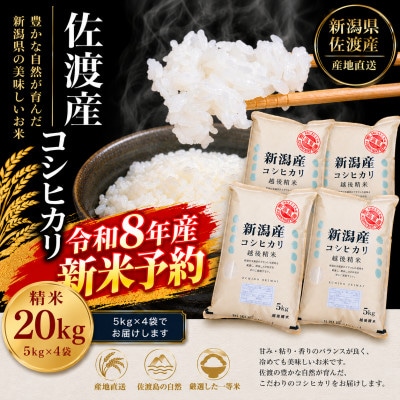 【令和8年度産新米予約】佐渡産コシヒカリ 20kg (5kg×4袋)