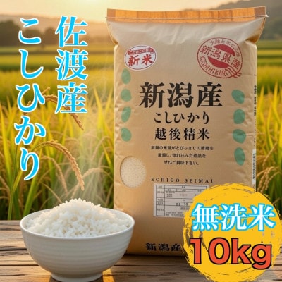 【佐渡島が誇る極上コシヒカリ】無洗米(精米) 佐渡産コシヒカリ 10kg