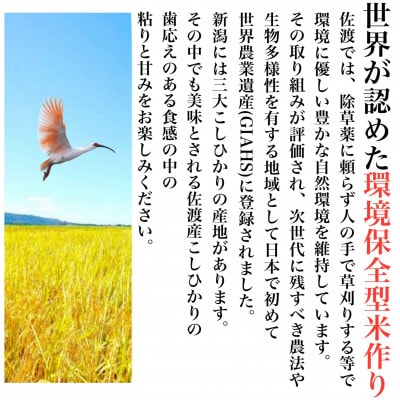 【令和8年産新米・先行予約】佐渡産コシヒカリ そのまんま真空パック 900g×6袋セット