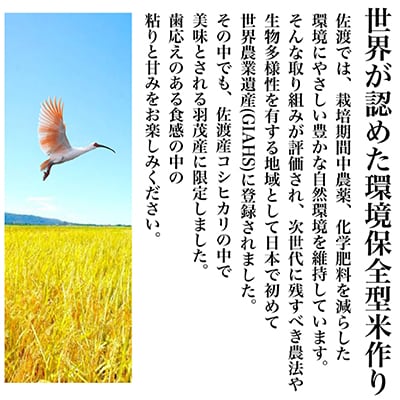 【毎月定期便】佐渡羽茂産コシヒカリ 5kg(精米)全12回