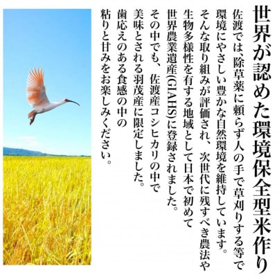 【毎月定期便】佐渡羽茂産コシヒカリ 5kg全12回