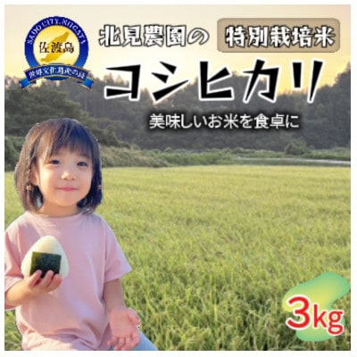 北見農園の特別栽培米 令和7年 佐渡産コシヒカリ 3kg 農家自慢の逸品 精米