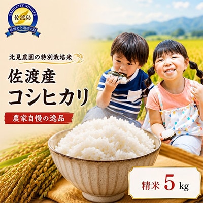 【先行受付・数量限定】令和8年産　特別栽培米佐渡産コシヒカリ　農家直送北見農園自慢の逸品　精米5kg