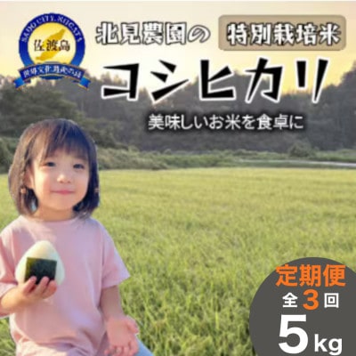 【発送月固定定期便】【数量限定】特別栽培米佐渡産コシヒカリ　精米5kg全3回